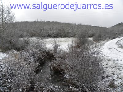 Desde el puente de Brieva, río arriba.
