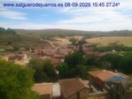 Recorre hacia atrás las últimas 24 horas
