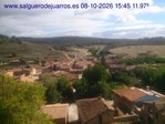 Recorre hacia atrás las últimas 24 horas
