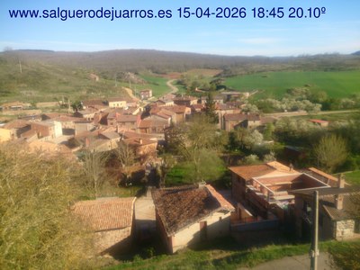 Recorre hacia atrás las últimas 24 horas
