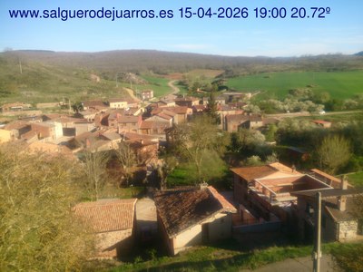 Recorre hacia atrás las últimas 24 horas
