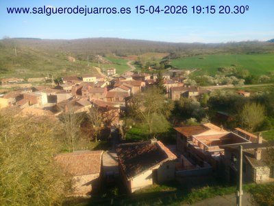 Recorre hacia atrás las últimas 24 horas
