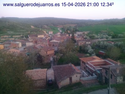 Recorre hacia atrás las últimas 24 horas
