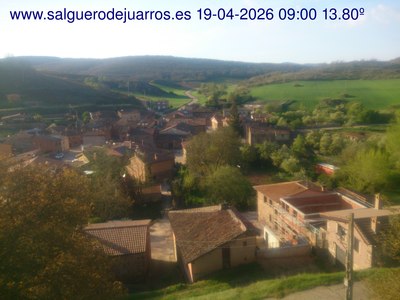 Recorre hacia atrás las últimas 24 horas
