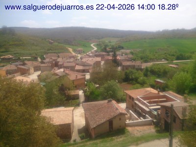 Recorre hacia atrás las últimas 24 horas
