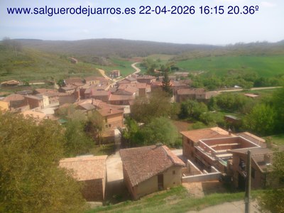 Recorre hacia atrás las últimas 24 horas
