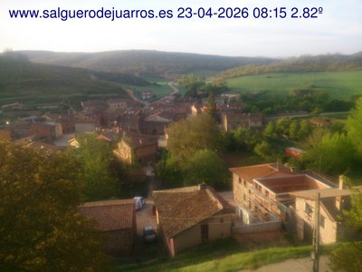 Recorre hacia atrás las últimas 24 horas