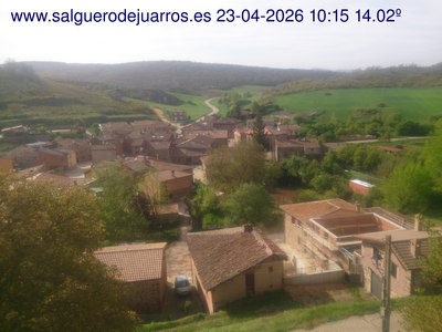 Recorre hacia atrás las últimas 24 horas
