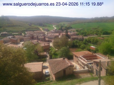 Recorre hacia atrás las últimas 24 horas
