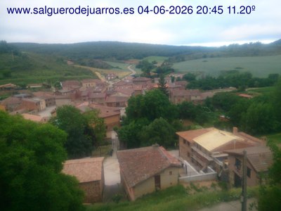 Recorre hacia atrás las últimas 24 horas
