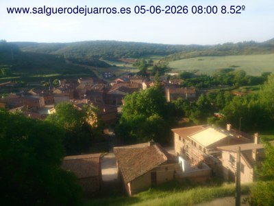 Recorre hacia atrás las últimas 24 horas
