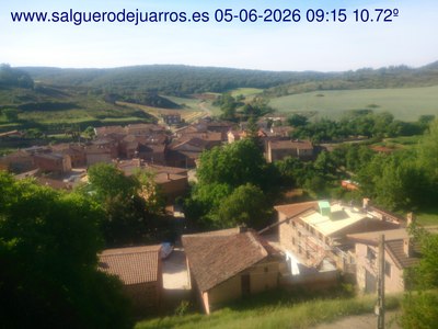 Recorre hacia atrás las últimas 24 horas
