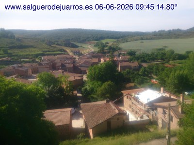 Recorre hacia atrás las últimas 24 horas
