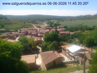 Recorre hacia atrás las últimas 24 horas
