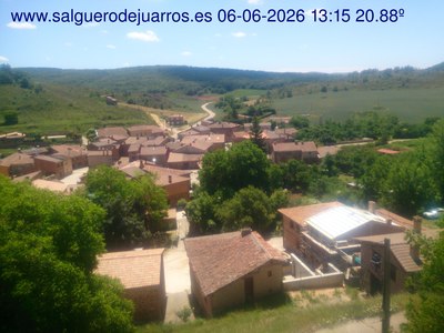 Recorre hacia atrás las últimas 24 horas
