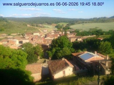 Recorre hacia atrás las últimas 24 horas
