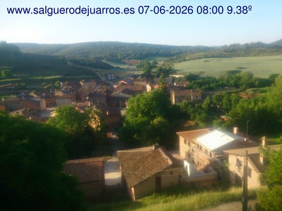 Recorre hacia atrás las últimas 24 horas
