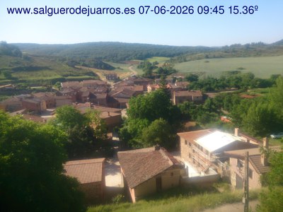 Recorre hacia atrás las últimas 24 horas
