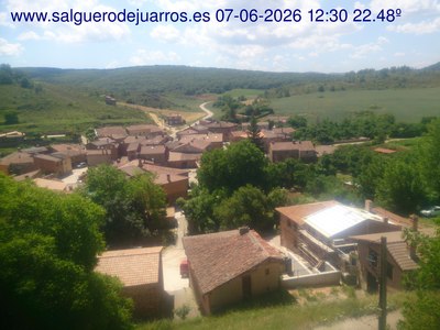 Recorre hacia atrás las últimas 24 horas
