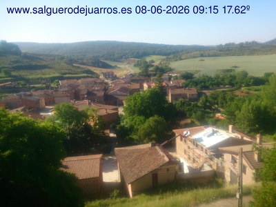 Recorre hacia atrás las últimas 24 horas
