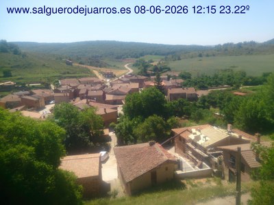 Recorre hacia atrás las últimas 24 horas
