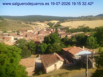 Recorre hacia atrás las últimas 24 horas
