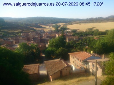 Recorre hacia atrás las últimas 24 horas
