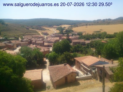 Recorre hacia atrás las últimas 24 horas
