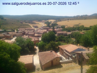 Recorre hacia atrás las últimas 24 horas
