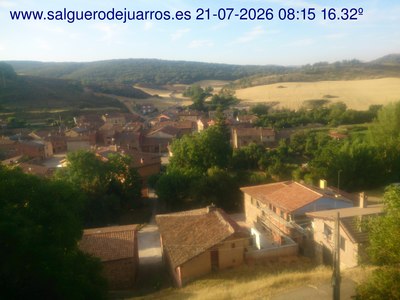 Recorre hacia atrás las últimas 24 horas
