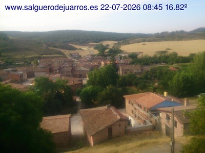 Recorre hacia atrás las últimas 24 horas

