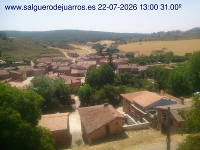 Recorre hacia atrás las últimas 24 horas

