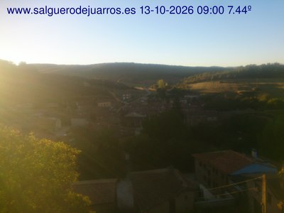 Recorre hacia atrás las últimas 24 horas
