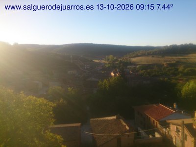 Recorre hacia atrás las últimas 24 horas
