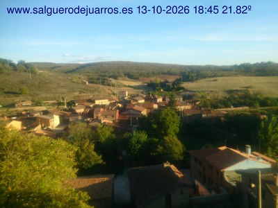 Recorre hacia atrás las últimas 24 horas
