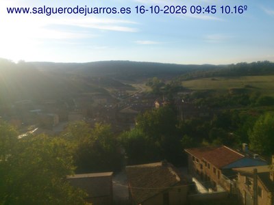 Recorre hacia atrás las últimas 24 horas
