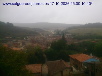 Recorre hacia atrás las últimas 24 horas
