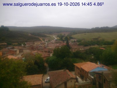 Recorre hacia atrás las últimas 24 horas

