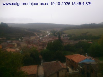 Recorre hacia atrás las últimas 24 horas
