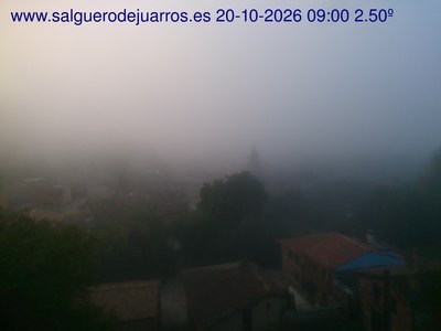 Recorre hacia atrás las últimas 24 horas
