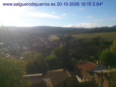 Recorre hacia atrás las últimas 24 horas
