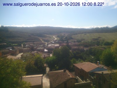 Recorre hacia atrás las últimas 24 horas
