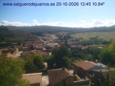 Recorre hacia atrás las últimas 24 horas
