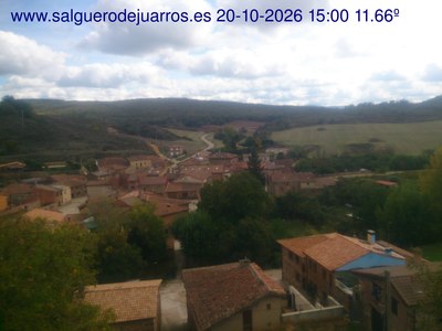 Recorre hacia atrás las últimas 24 horas
