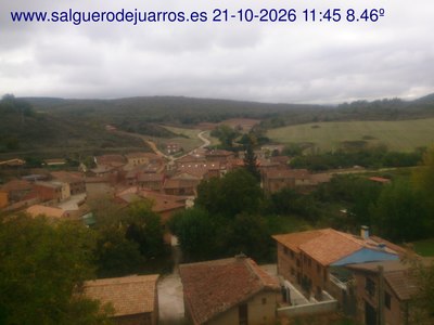 Recorre hacia atrás las últimas 24 horas
