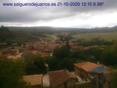 Recorre hacia atrás las últimas 24 horas
