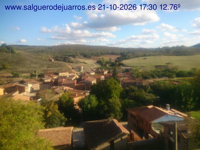 Recorre hacia atrás las últimas 24 horas
