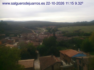 Recorre hacia atrás las últimas 24 horas
