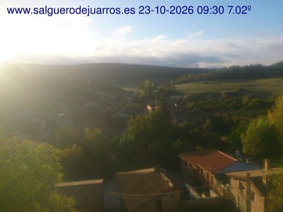 Recorre hacia atrás las últimas 24 horas
