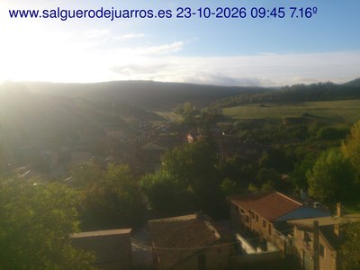 Recorre hacia atrás las últimas 24 horas
